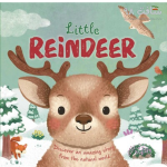 Reindeer Story
