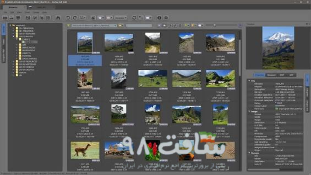 XnView MP Full Download